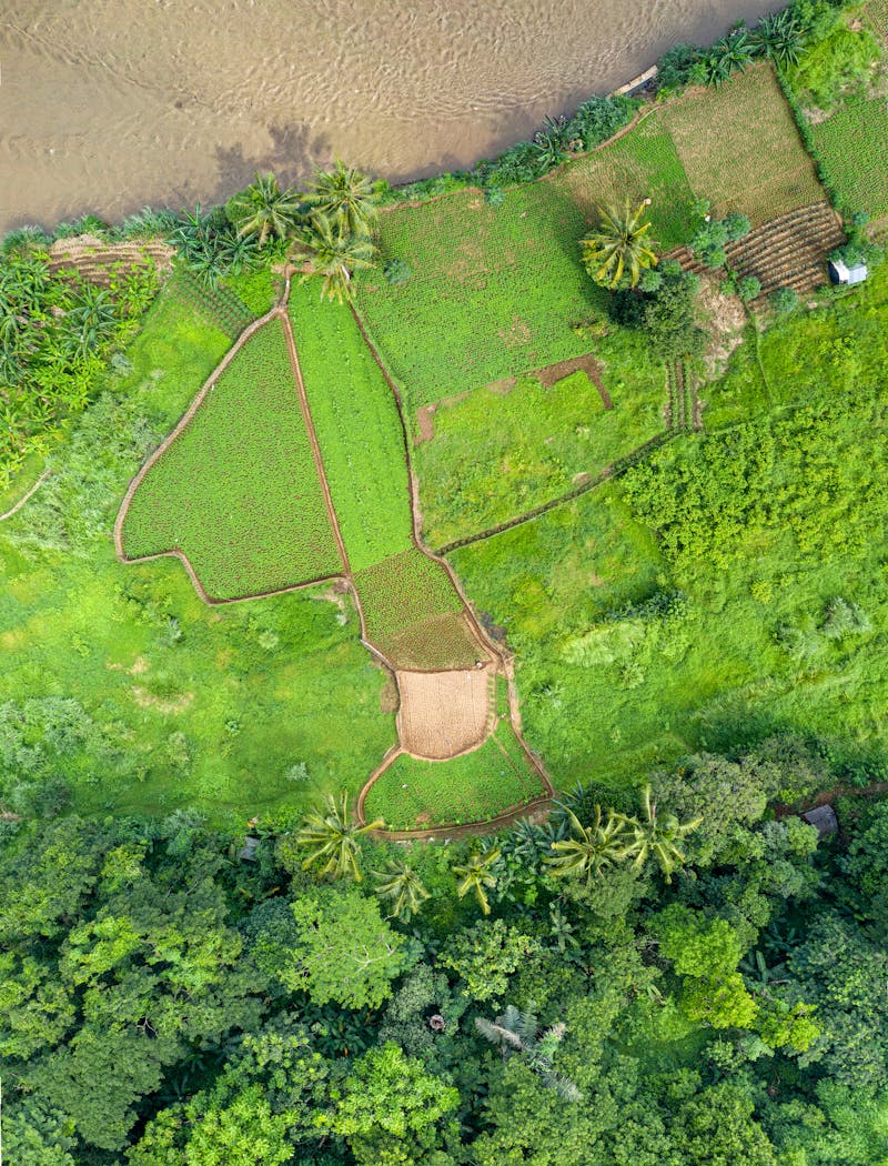 Top-down aerial view of farmland parcels representing an orthomosaic map deliverable